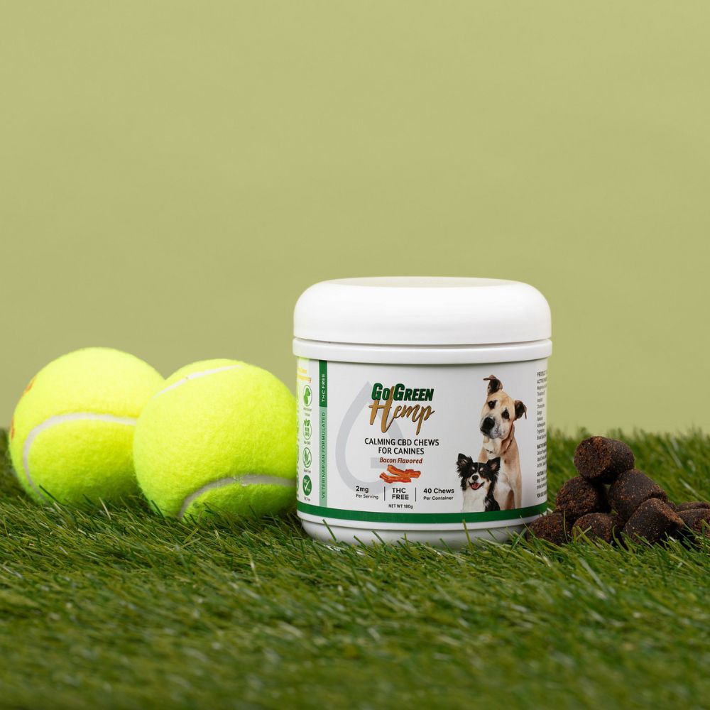 CBD Dog Treats | Vet Formulated Calming Chews | THC-Free