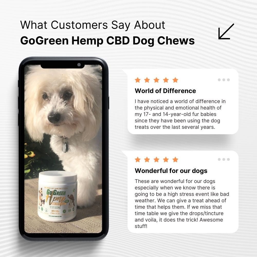 CBD Dog Treats | Vet Formulated Calming Chews | THC-Free